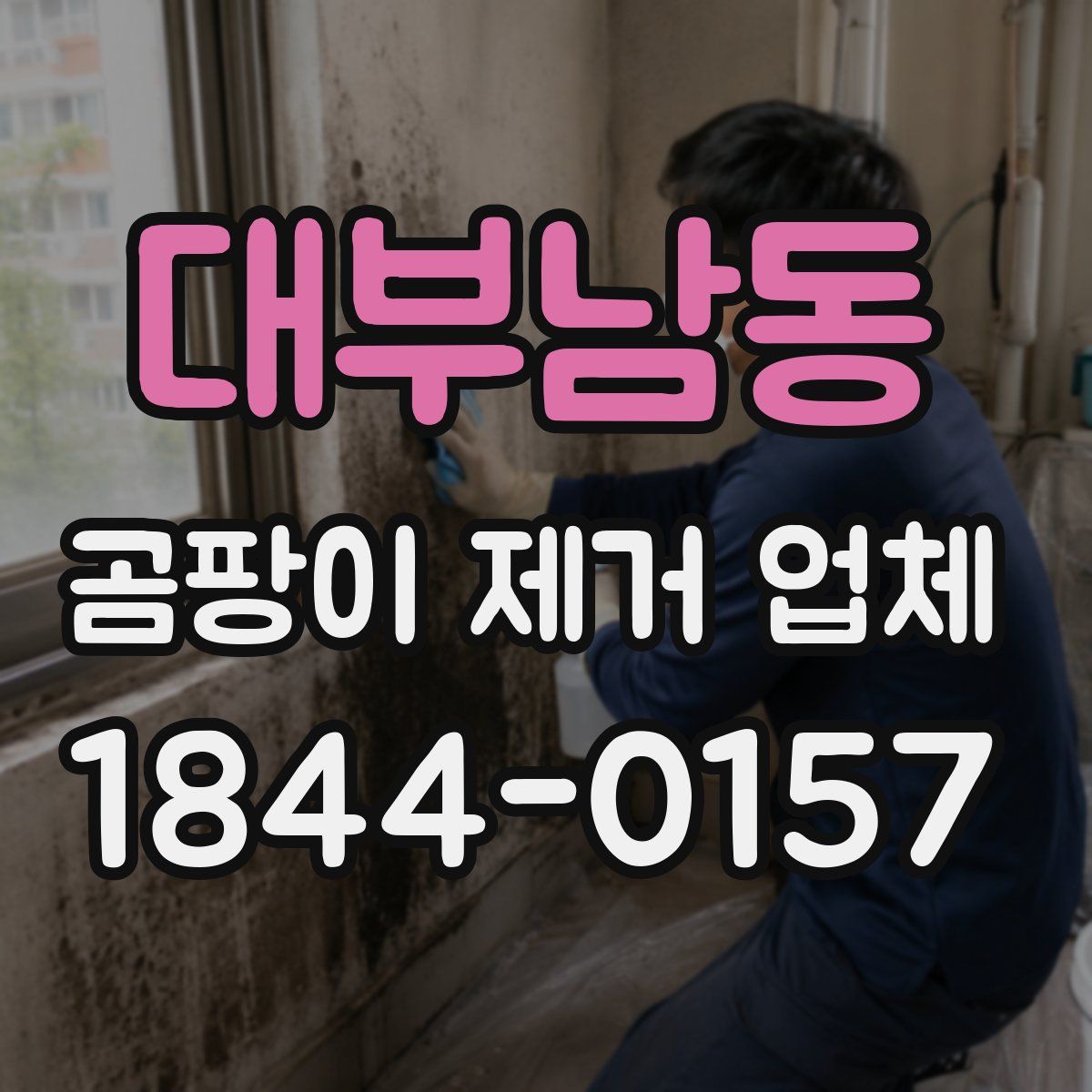 대부남동 곰팡이 제거 업체