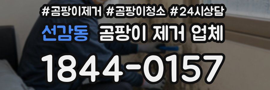 선감동 곰팡이 제거 업체