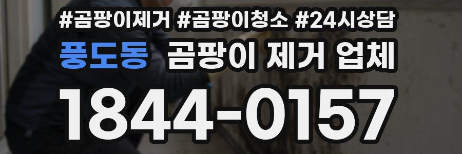 풍도동 곰팡이 제거 업체