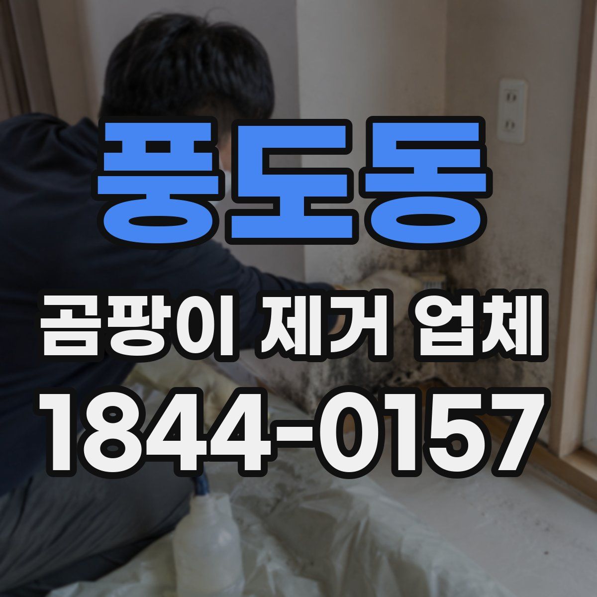 풍도동 곰팡이 제거 업체
