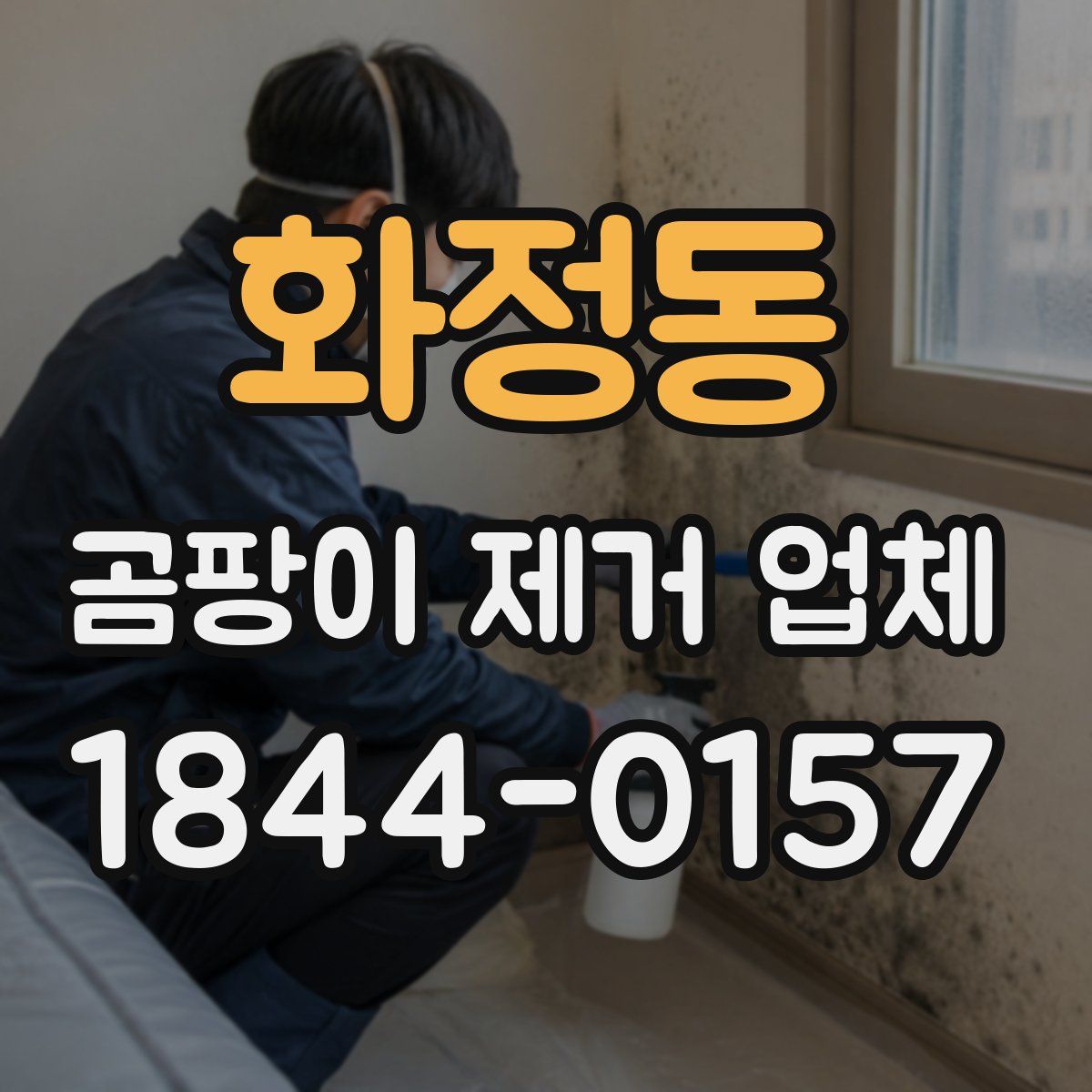 화정동 곰팡이 제거 업체