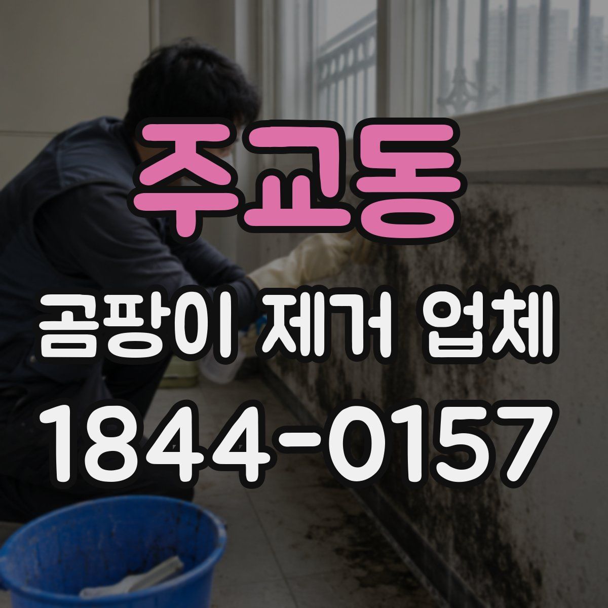 주교동 곰팡이 제거 업체