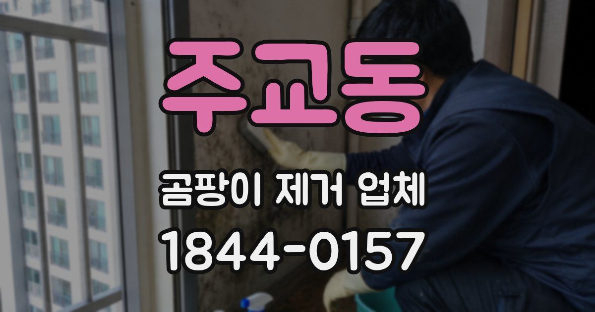 주교동 곰팡이 제거 업체