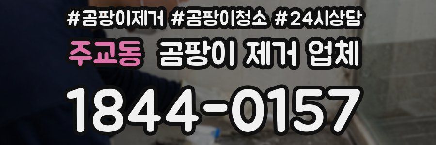 주교동 곰팡이 제거 업체