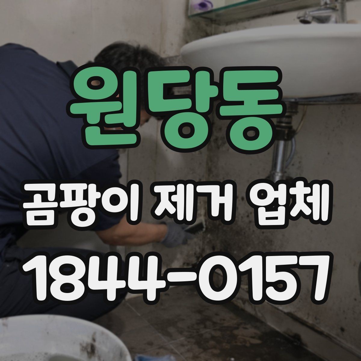 원당동 곰팡이 제거 업체 욕실과 거실 오염 양상이 다른 이유를 살펴보기
