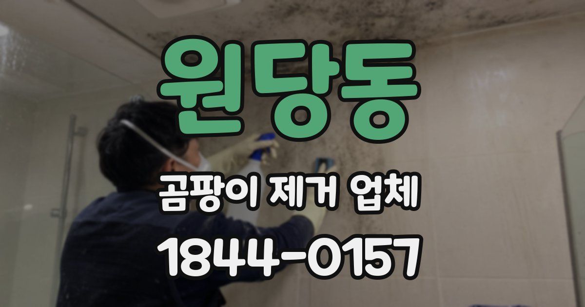 원당동 곰팡이 제거 업체