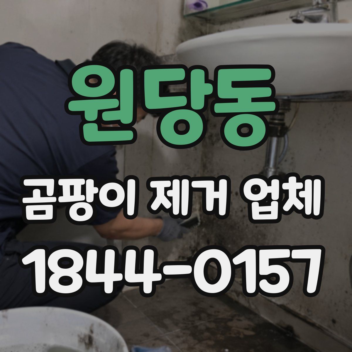 원당동 곰팡이 제거 업체