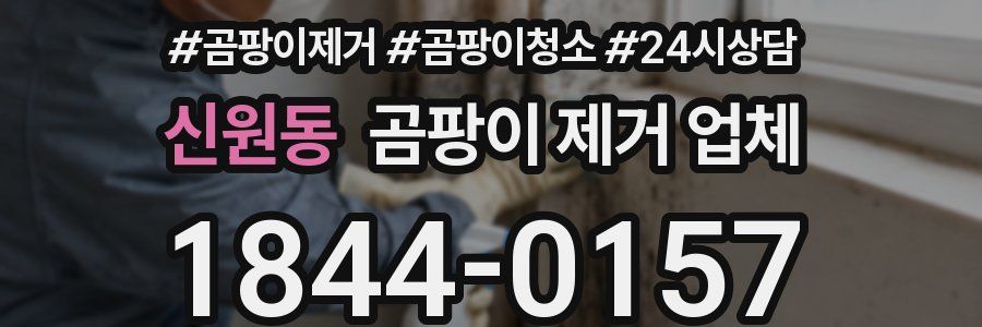 신원동 곰팡이 제거 업체