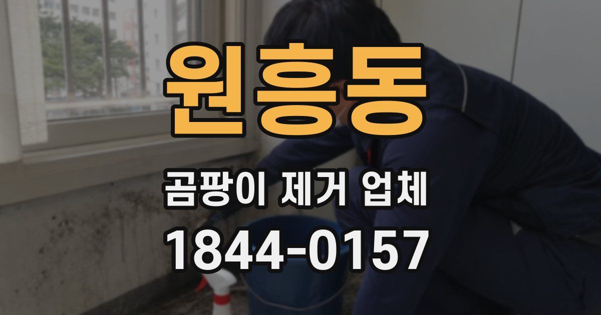 원흥동 곰팡이 제거 업체