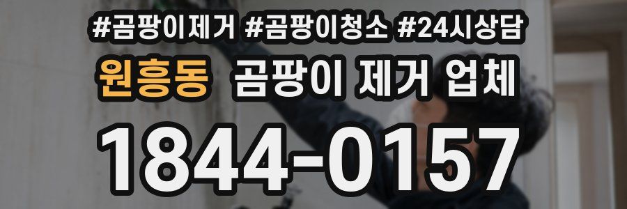 원흥동 곰팡이 제거 업체
