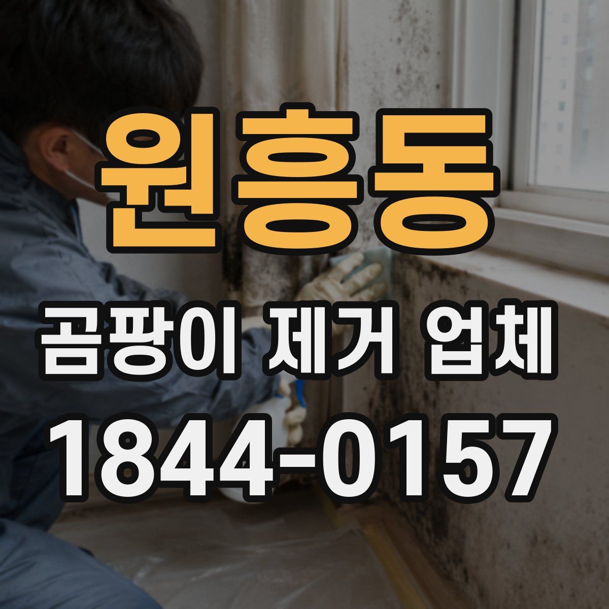 원흥동 곰팡이 제거 업체
