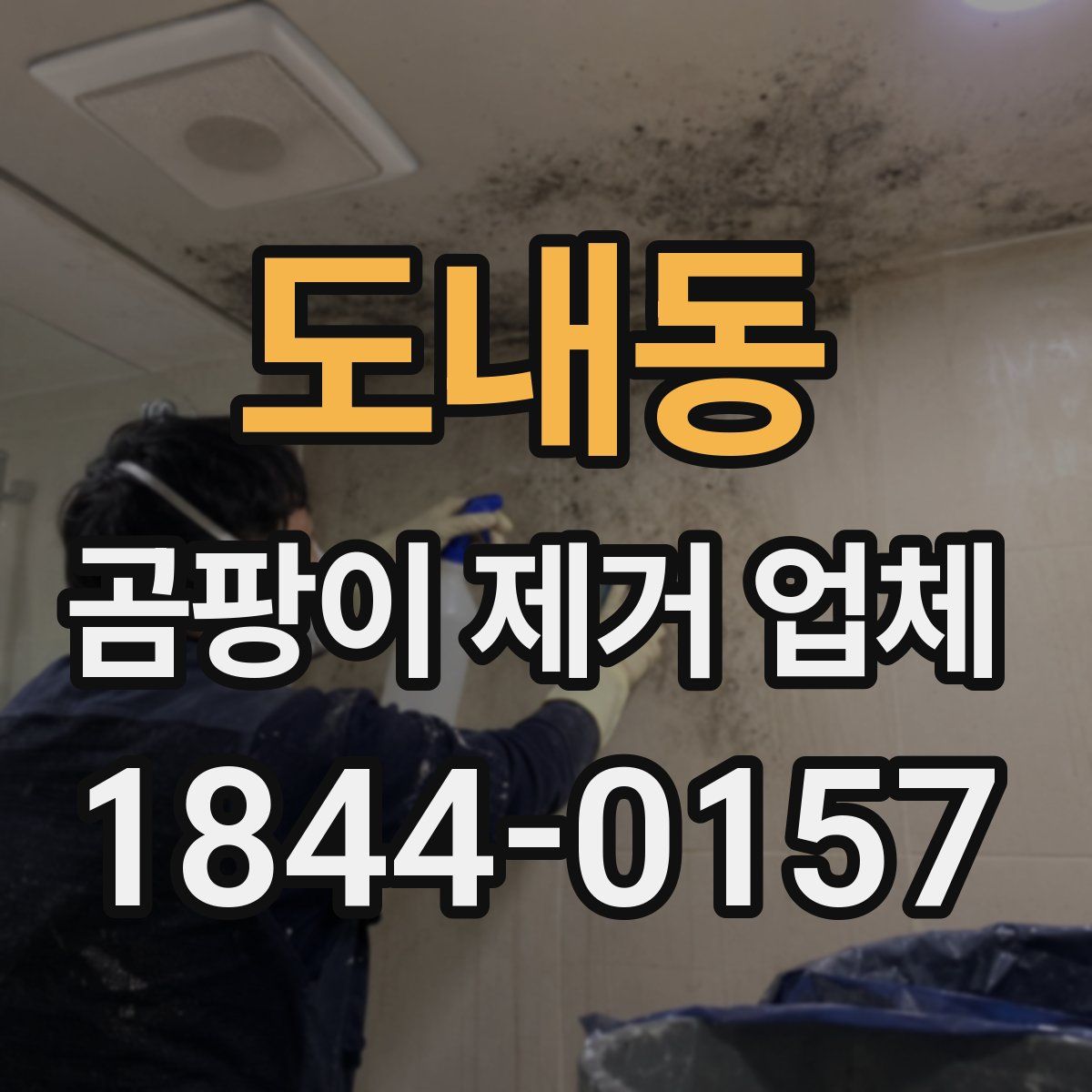 도내동 곰팡이 제거 업체