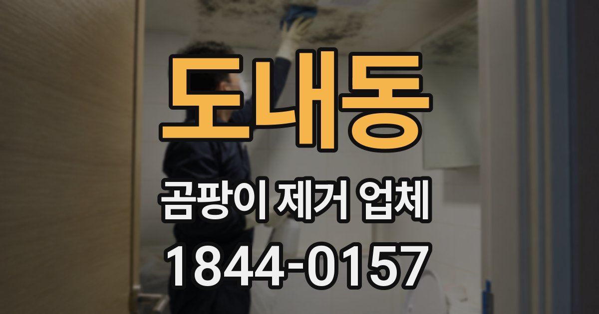 도내동 곰팡이 제거 업체