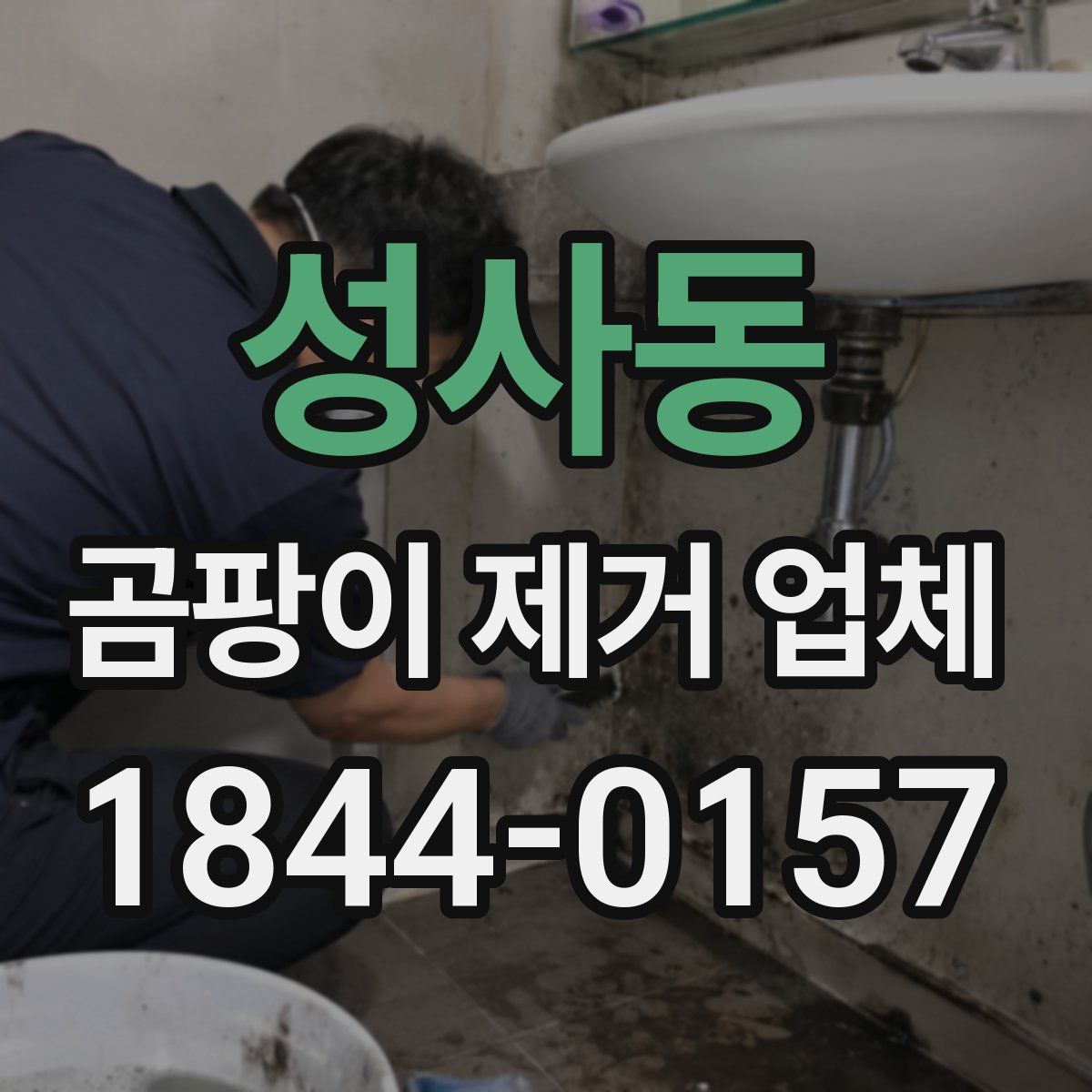 성사동 곰팡이 제거 업체