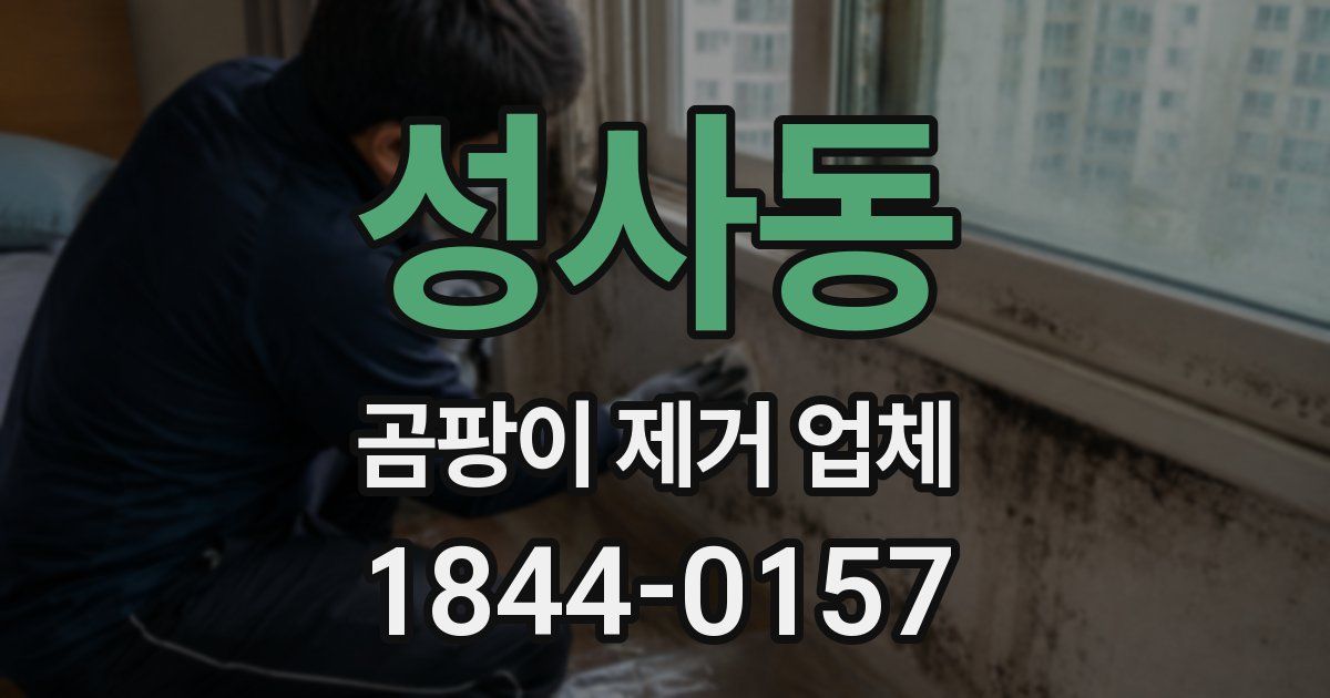 성사동 곰팡이 제거 업체
