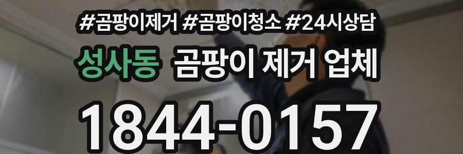 성사동 곰팡이 제거 업체