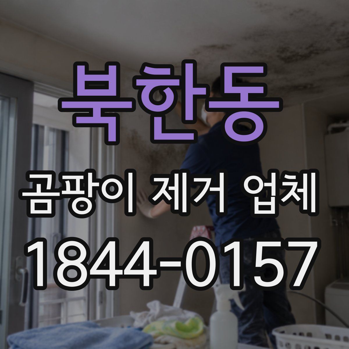 북한동 곰팡이 제거 업체