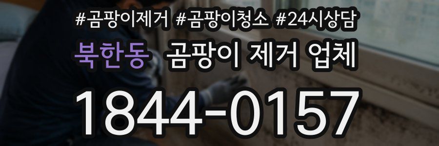 북한동 곰팡이 제거 업체