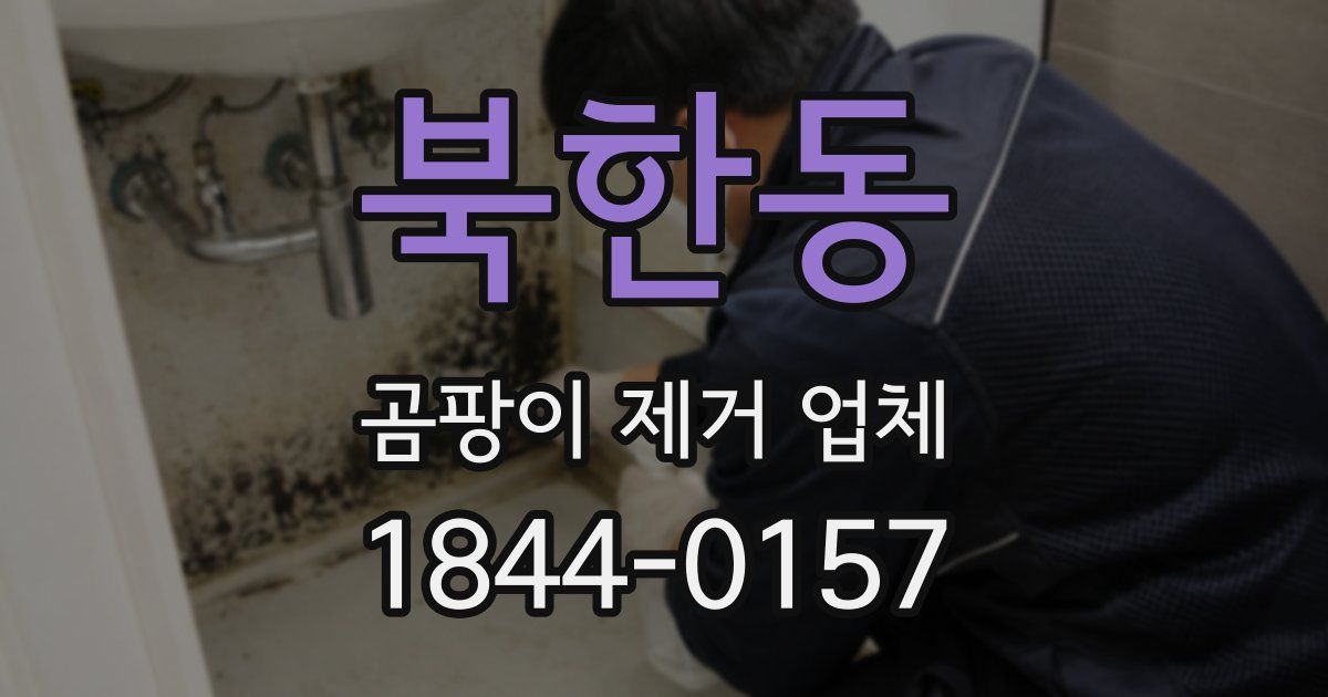 북한동 곰팡이 제거 업체