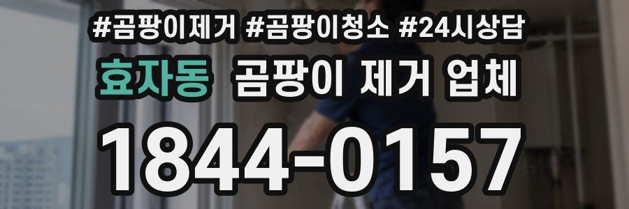 효자동 곰팡이 제거 업체