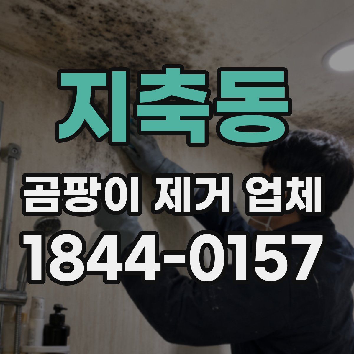 지축동 곰팡이 제거 업체
