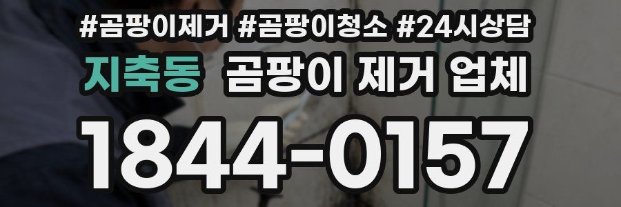 지축동 곰팡이 제거 업체