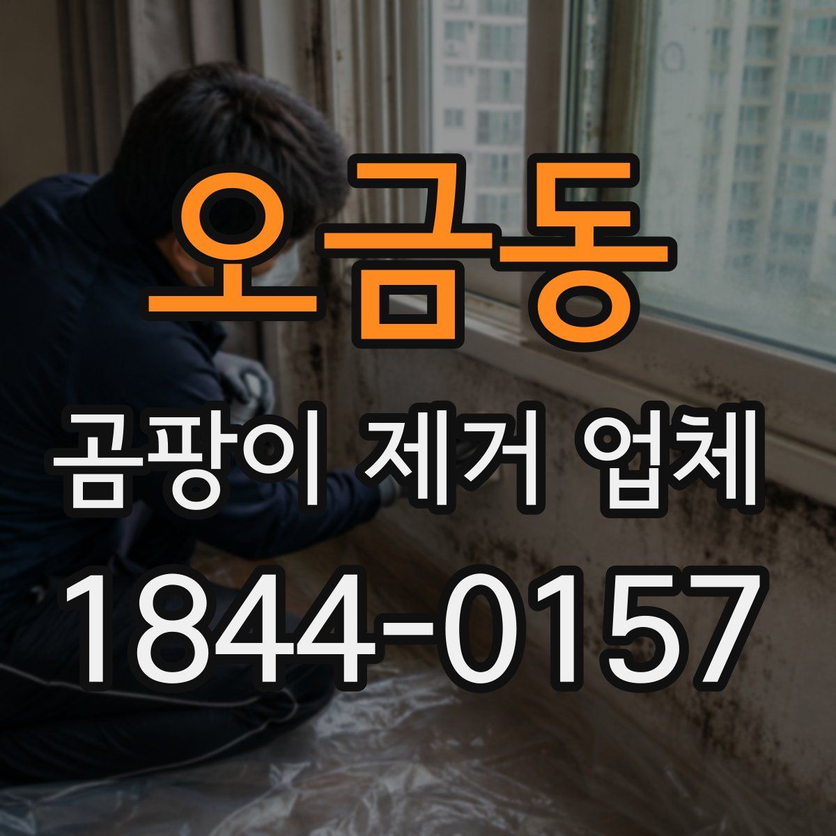오금동 곰팡이 제거 업체