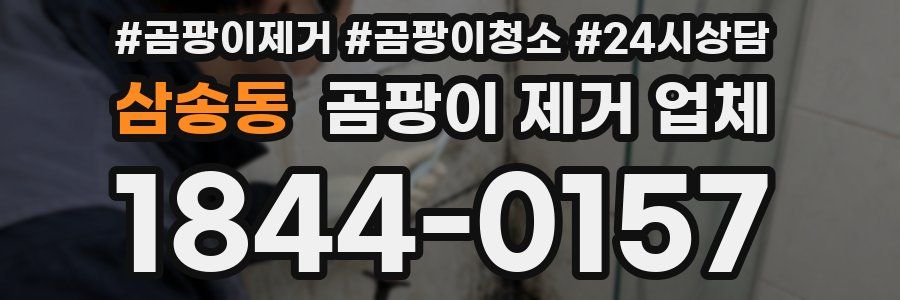 삼송동 곰팡이 제거 업체