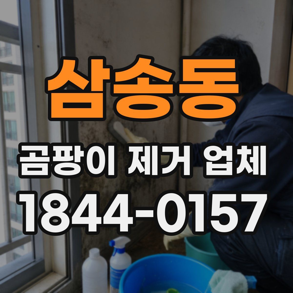 삼송동 곰팡이 제거 업체