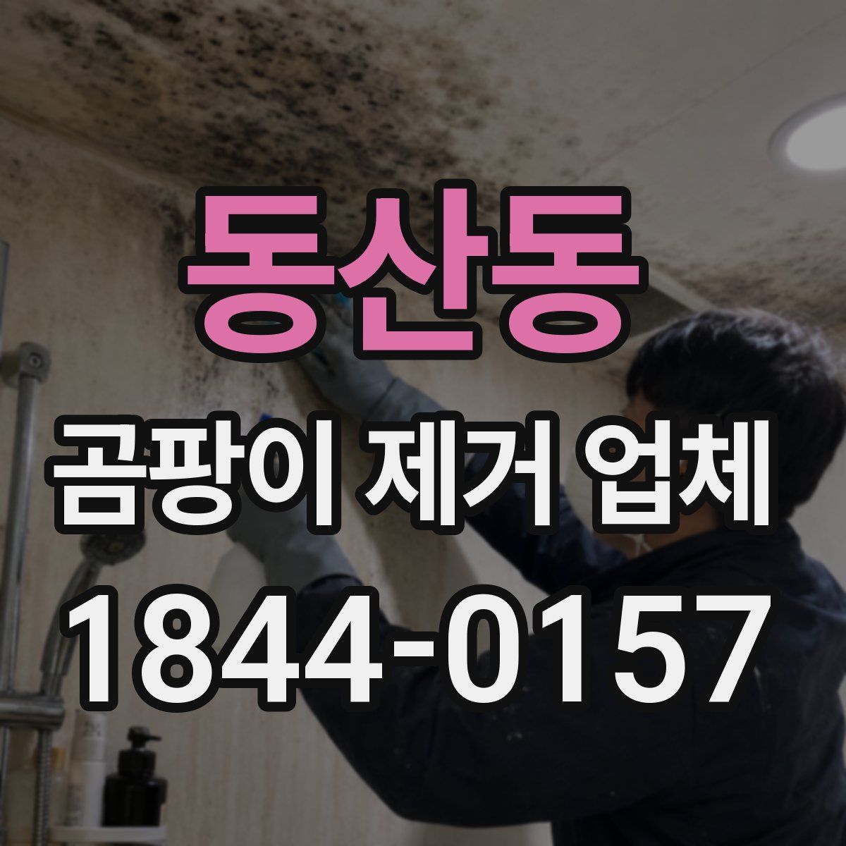 동산동 곰팡이 제거 업체