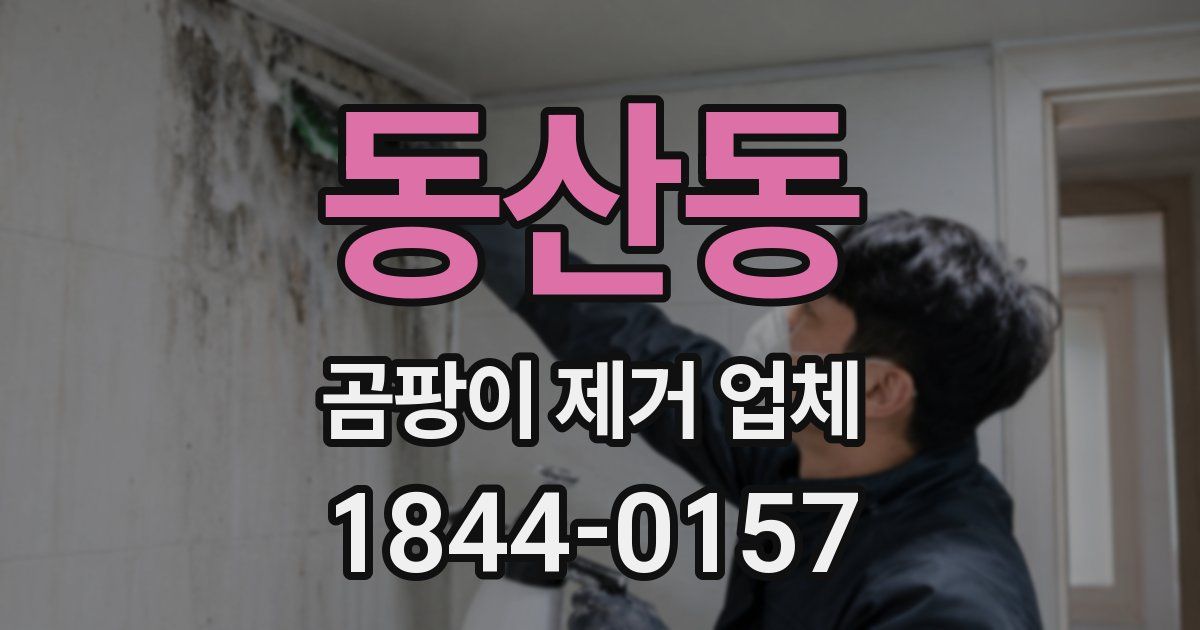 동산동 곰팡이 제거 업체