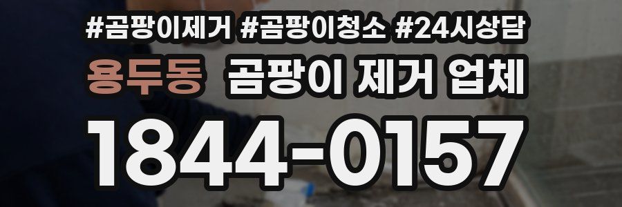 용두동 곰팡이 제거 업체