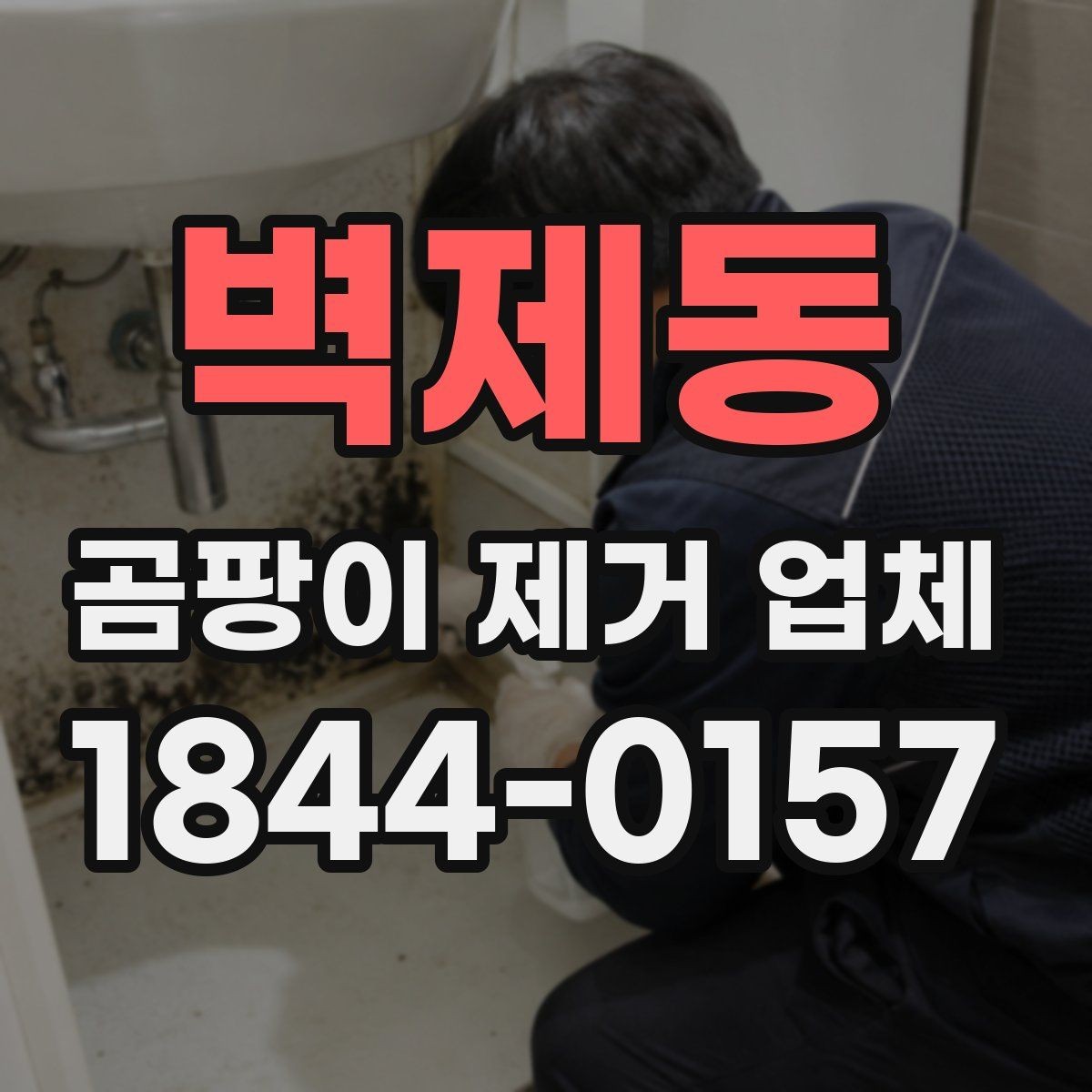 벽제동 곰팡이 제거 업체 창틀 인근 점검부터 시작하는 현장 대응