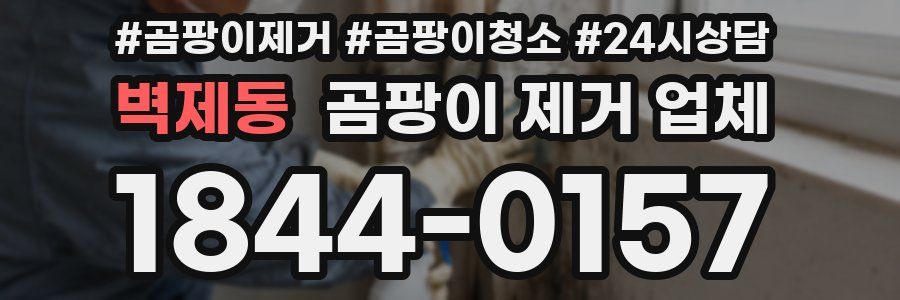 벽제동 곰팡이 제거 업체