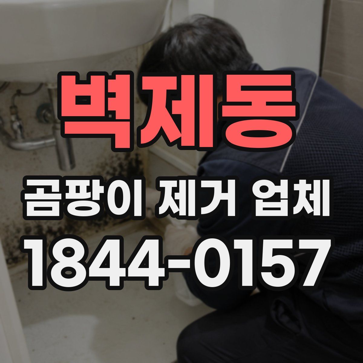 벽제동 곰팡이 제거 업체