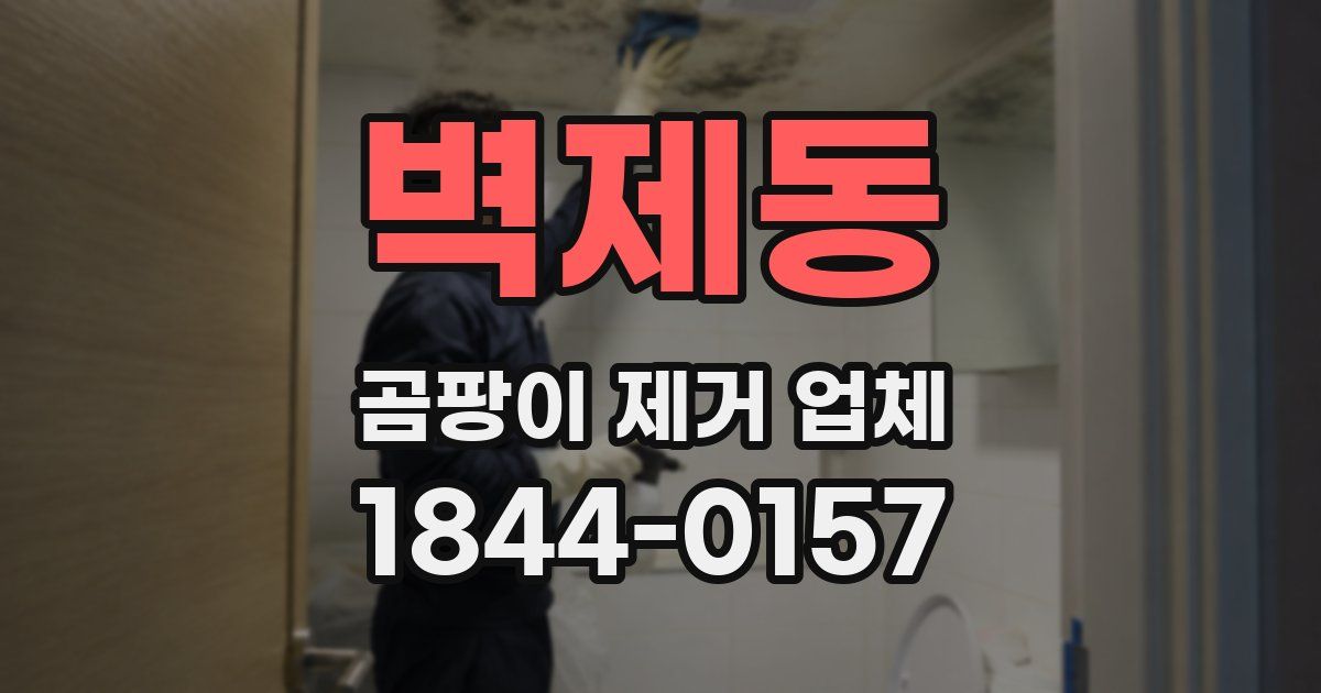 벽제동 곰팡이 제거 업체