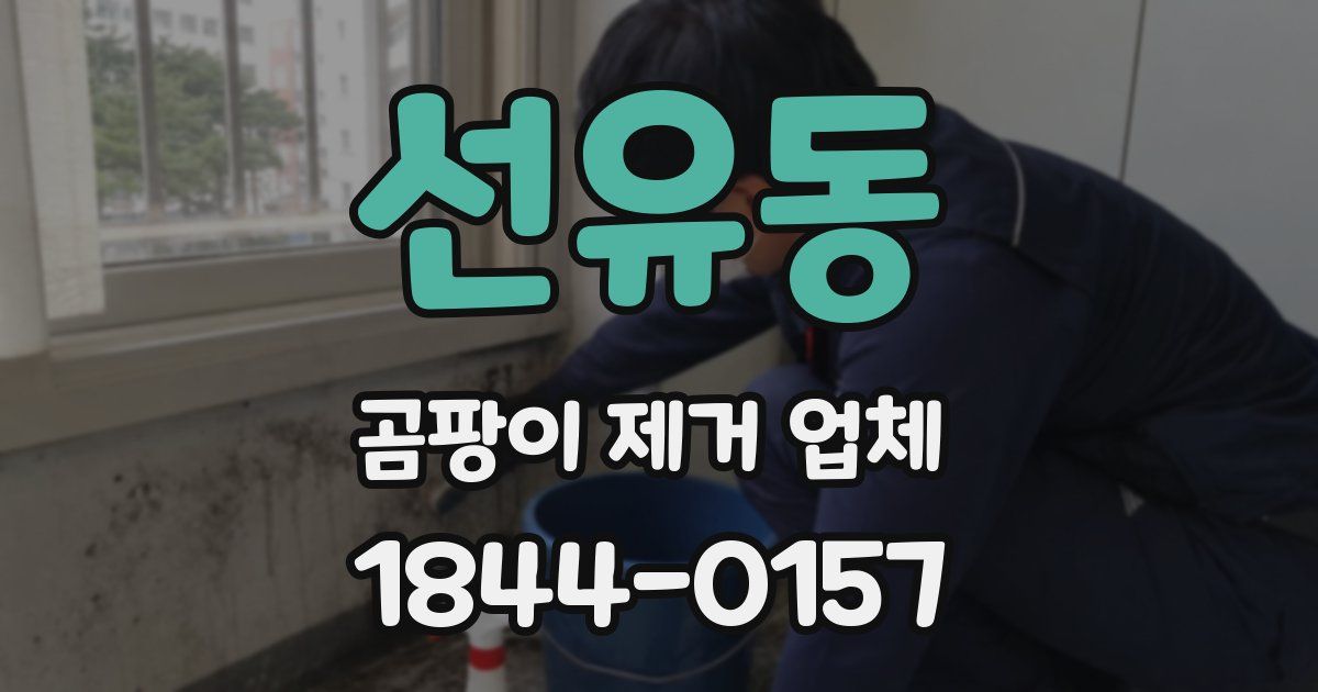 선유동 곰팡이 제거 업체