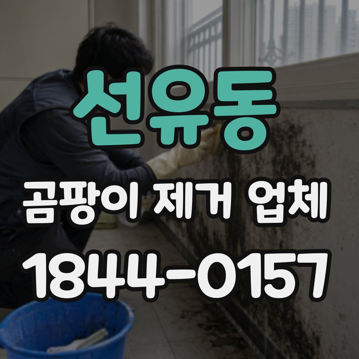 선유동 곰팡이 제거 업체
