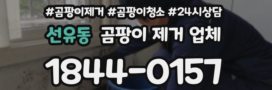 선유동 곰팡이 제거 업체