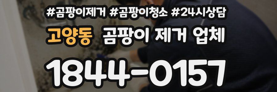 고양동 곰팡이 제거 업체