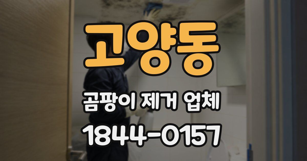 고양동 곰팡이 제거 업체