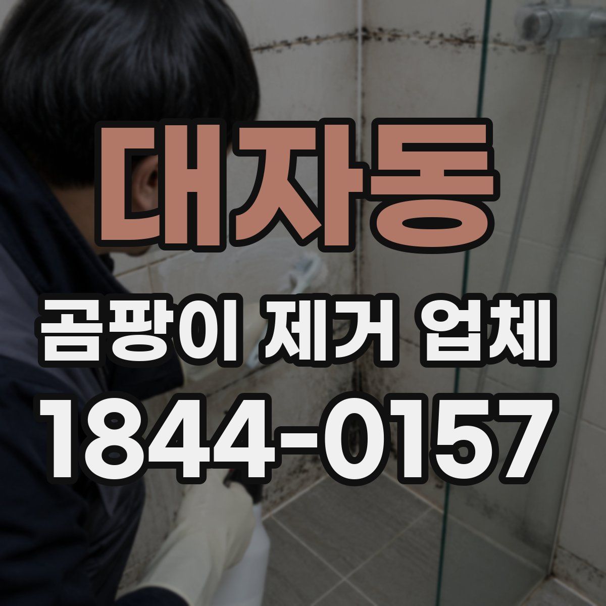 대자동 곰팡이 제거 업체