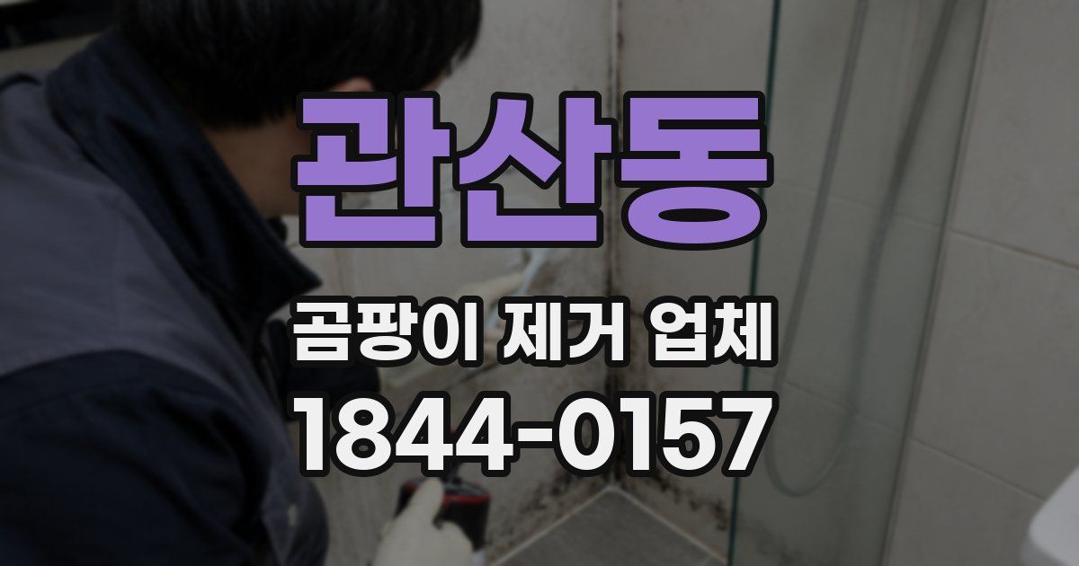관산동 곰팡이 제거 업체
