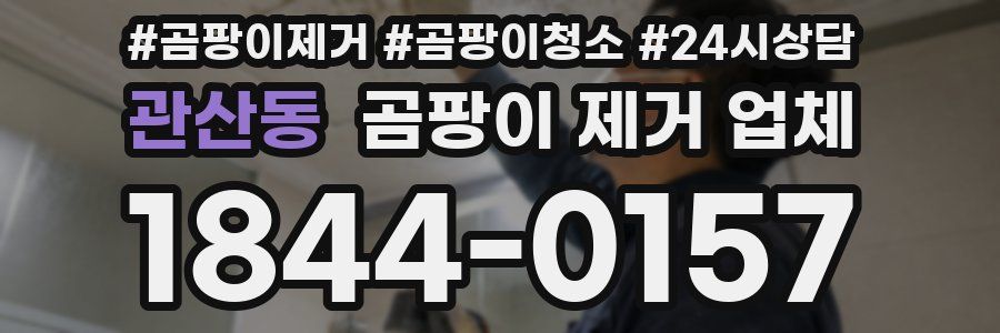 관산동 곰팡이 제거 업체