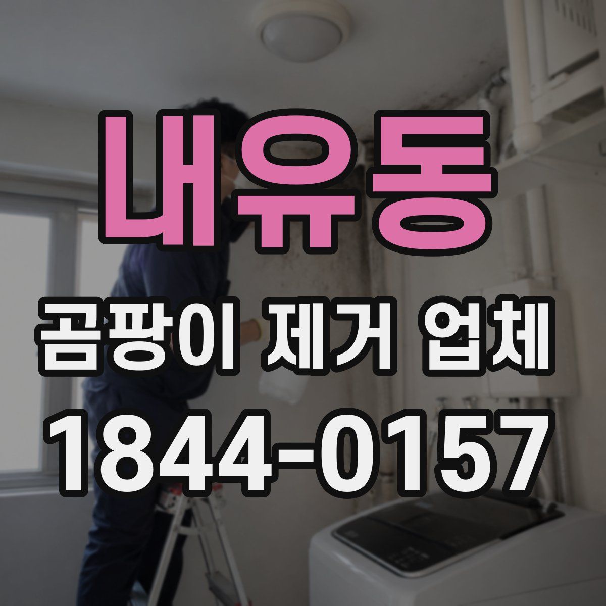 내유동 곰팡이 제거 업체