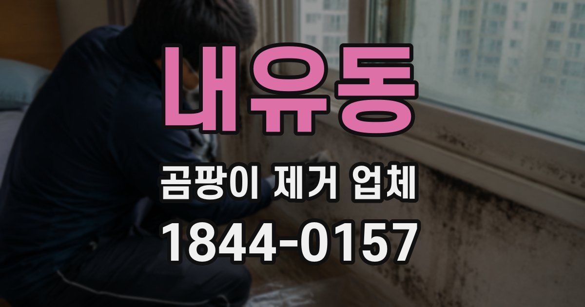 내유동 곰팡이 제거 업체