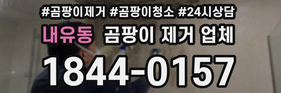 내유동 곰팡이 제거 업체