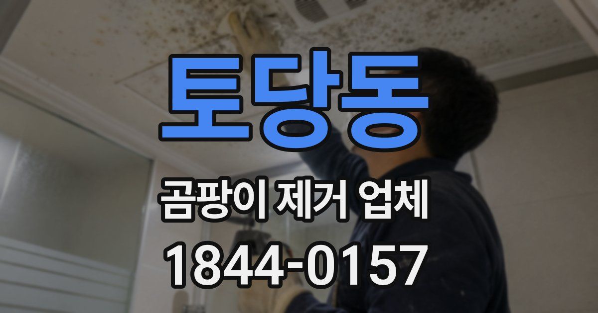 토당동 곰팡이 제거 업체