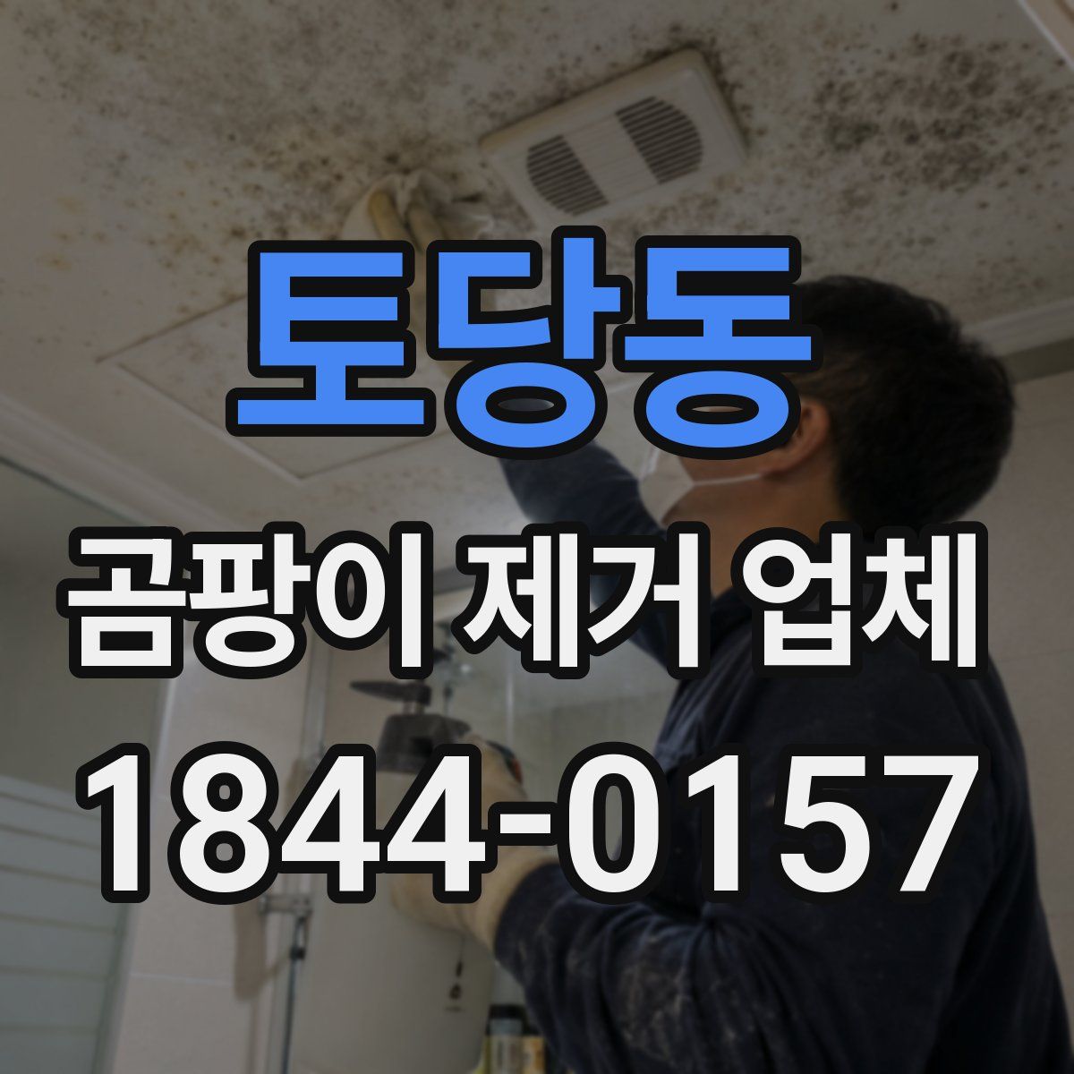토당동 곰팡이 제거 업체