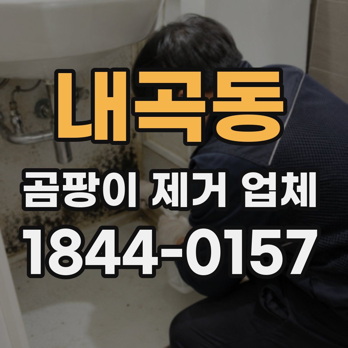 내곡동 곰팡이 제거 업체